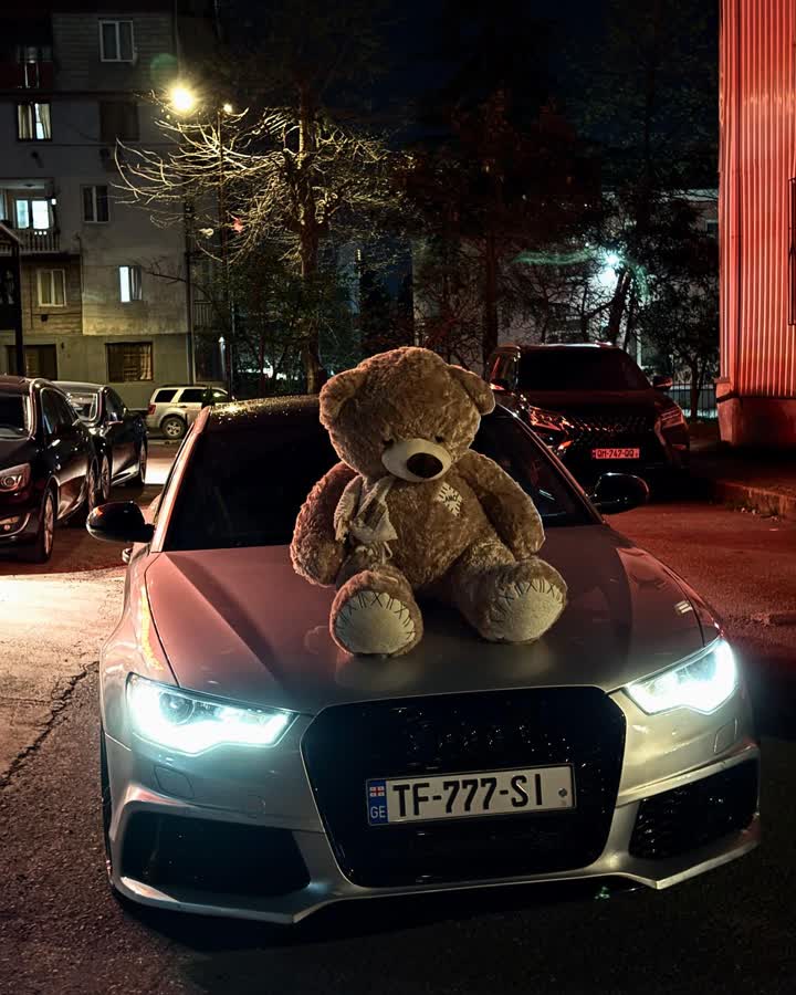 Audi Bear 😍 😍 😍 😍 #audi #a6 #c5 #rs6-quattro